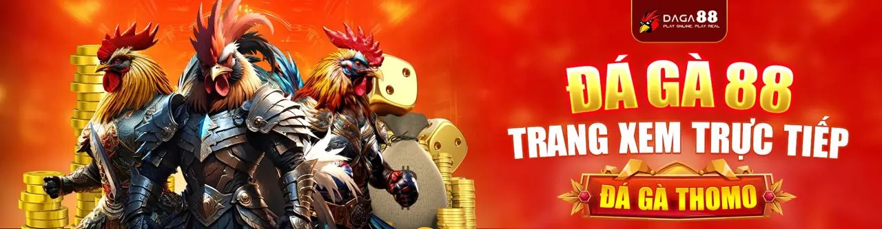 100vip - Trường gà đá gà trực tuyến đỉnh cao tại Việt Nam