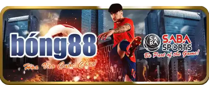 Minh bạch và uy tín - 100vip